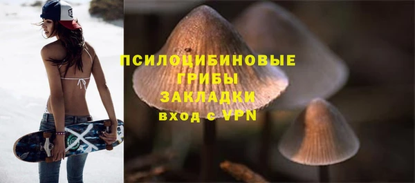 PSILOCYBIN Остров