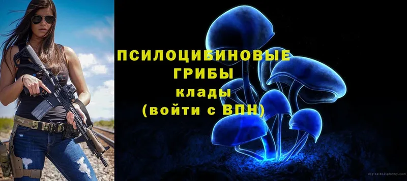 Псилоцибиновые грибы Psilocybine cubensis  Бавлы 