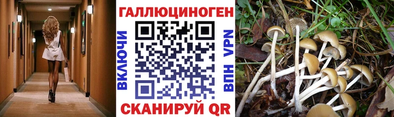 Псилоцибиновые грибы мицелий  Бавлы 